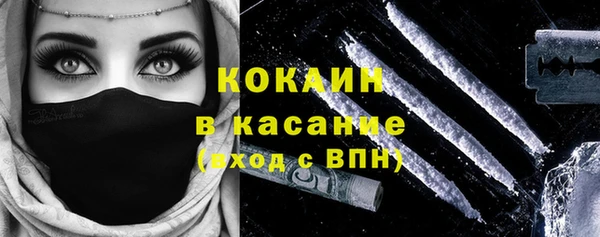 сатива Сосновка
