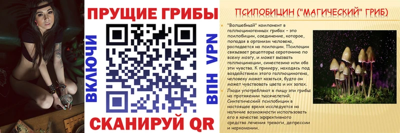сколько стоит  Белоярский  Галлюциногенные грибы мицелий 